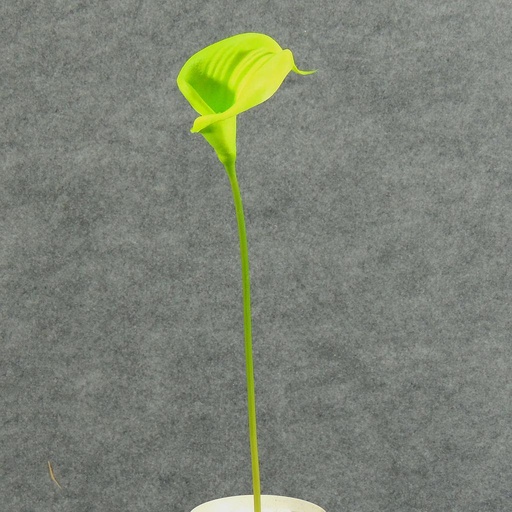 [SB4166M-GRN] CALLA LILY MEDIUM  16" STEM  GREEN