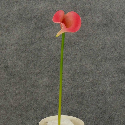 [SB4166S-BPK] CALLA LILY SMALL  14" STEM  BEAUTY/PINK