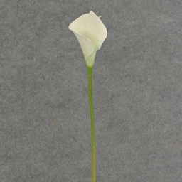 [SB4166S-CRM] CALLA LILY SMALL  14&quot; STEM  CREAM
