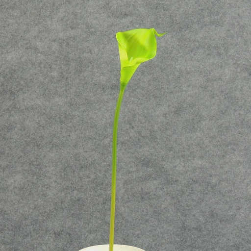 [SB4166S-GRN] CALLA LILY SMALL  14" STEM  GREEN