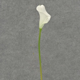 [SB4166S-WHT] CALLA LILY SMALL  14&quot; STEM  WHITE