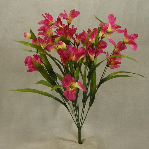 [SB4198-FUS] ALSTROMERIA BUSH X11 20"  FUCHSIA