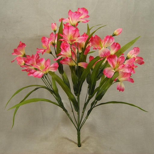 [SB4198-PNK] ALSTROMERIA BUSH X11 20"  PINK