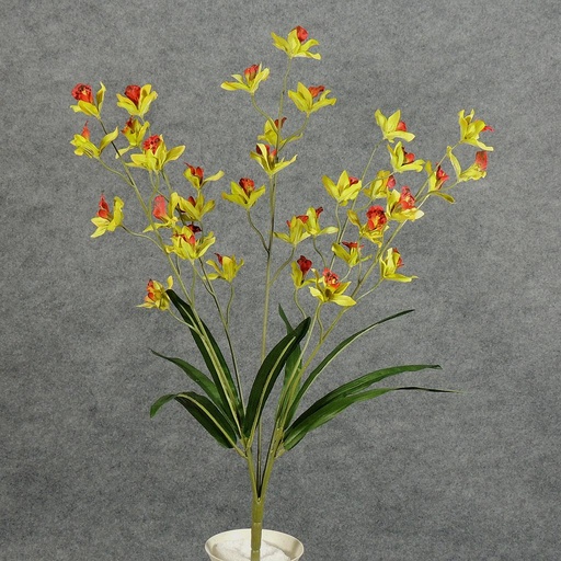 [SB4203-GRN] ORCHID MINI CYMBIDIUM BUSH X5 23" GREEN