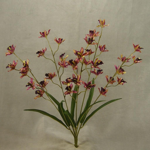 [SB4203-PUR] ORCHID MINI CYMBIDIUM BUSH X5 23" PURPLE
