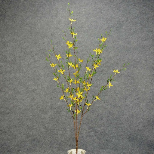 [SB5011] FORSYTHIA BUSH X3 35" YELLOW (OUTDOOR)