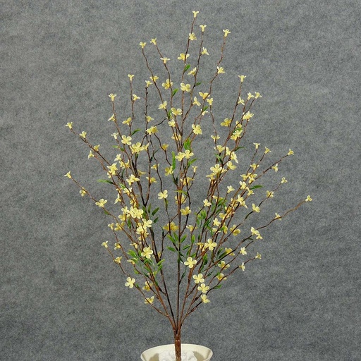 [SB5017-YEL] PTERIS CROSS PLUM BUSH 22"  YELLOW