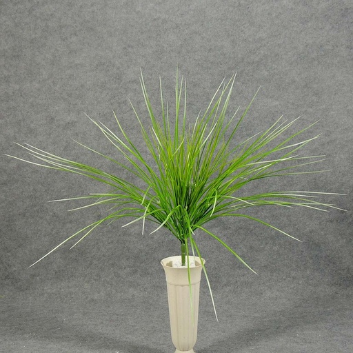 [SB5023-GWH] GRASS MONKEY BUSH X12  GREEN/WHITE