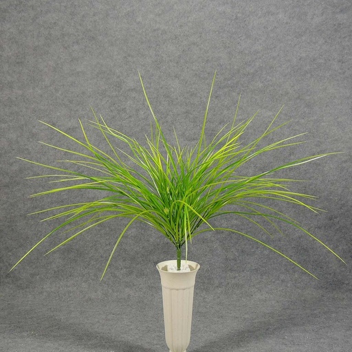 [SB5023-YGN] GRASS MONKEY BUSH X12  YELLOW/GREEN