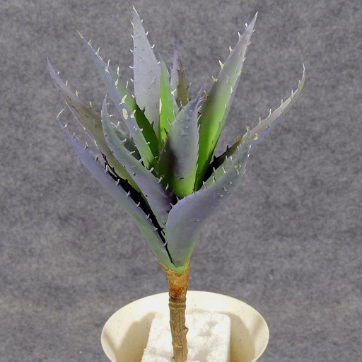 [SB5025-PGN] CACTUS/SUCCULENT PLANT  PURPLE/GREEN