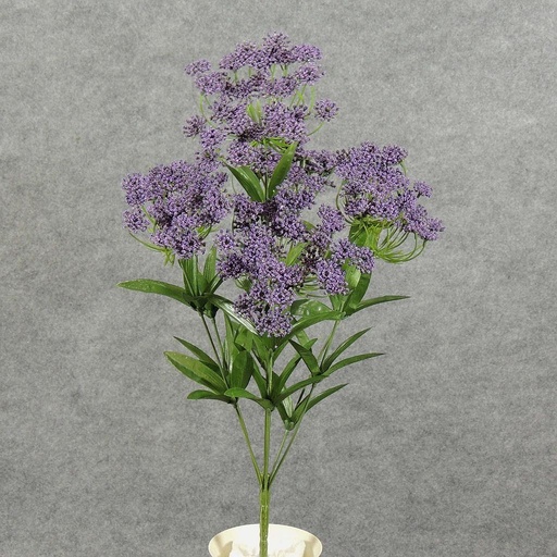 [SB5042-PUR] DILL/QUEEN ANNE LACE BUSH X7  PURPLE