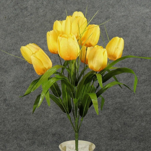 [SB5051-YEL] TULIP BUSH X11       YELLOW
