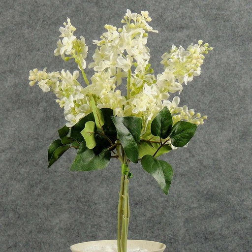 [SB5060-CWH] LILAC MINI BOUQUET X4  CREAM/WHITE