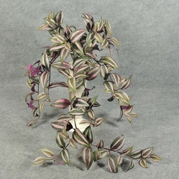 [SB5091] HANGING INCHPLANT BUSH X9