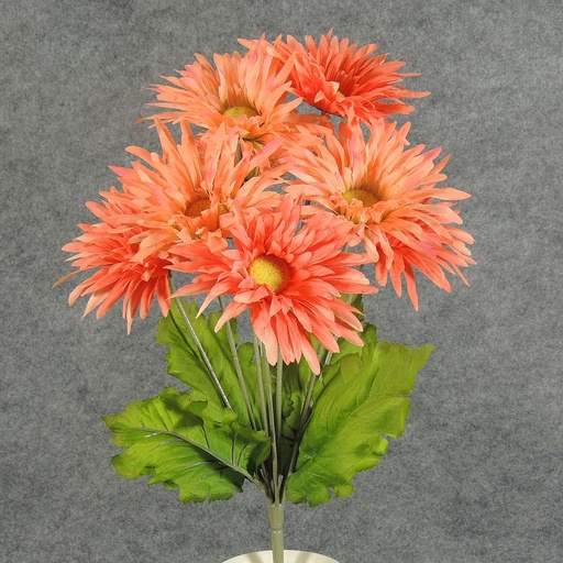 [SB5119-PCH] GERBERA DAISY BUSH X8