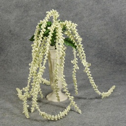 [SB5123-CRM] BUBBLEBERRY HANGING BUSH X5  CREAM