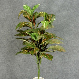 [SB5139] CROTON PLANT W/48 LVS 34"