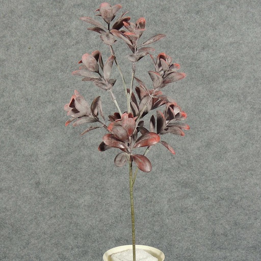 [SB5149-BUR] BOXWOOD GIANT SPRAY X9 18"