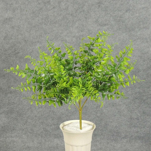 [SB5150] FERN MINI BOSTON BUSH X5 PLASTIC