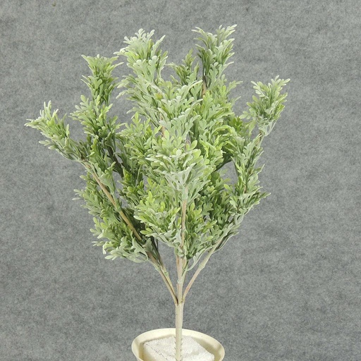 [SB5155-GRN] DUSTY MILLER BUSH X7    16"  GREEN
