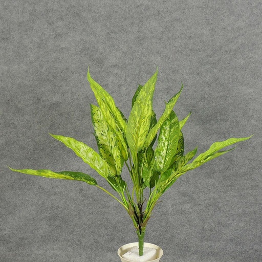 [SB5160] AGLAONEMA BUSHx5 REAL TOUCH 18"