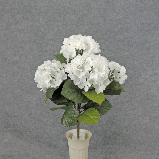 [SB5190-WHT] HYDRANGEA BUSH X5    WHITE