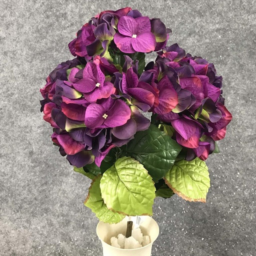 [SB5191-PUR] HYDRANGEA BUSH X5    PURPLE