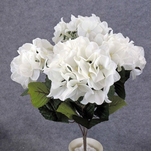 [SB5191-WHT] HYDRANGEA BUSH X5  CREAM/WHITE
