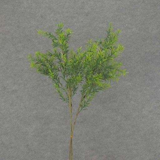 [SB6005-GRN] SPRINGERI GRASS SPRAY 31" 2/BDL  GREEN