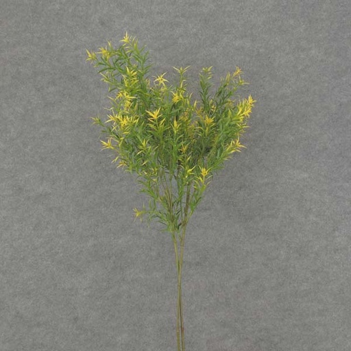 [SB6005S-YEL] SPRINGERI GRASS SPRAY 31"  YELLOW