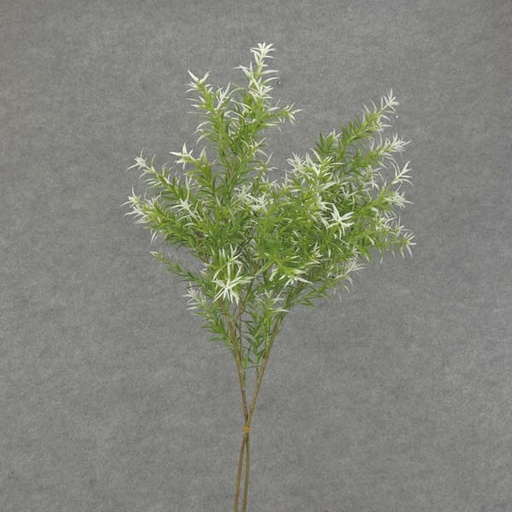 [SB6005-WGN] SPRINGERI GRASS SPRAY 31" 2/BDL  WHITE/GREEN
