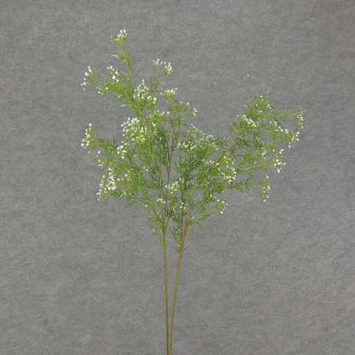 [SB6006-WGN] SEEDED GRASS SPRAY 30" (2/BDL)