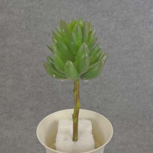 [SB6027] SUCCULENT PICK 7" PLASTIC
