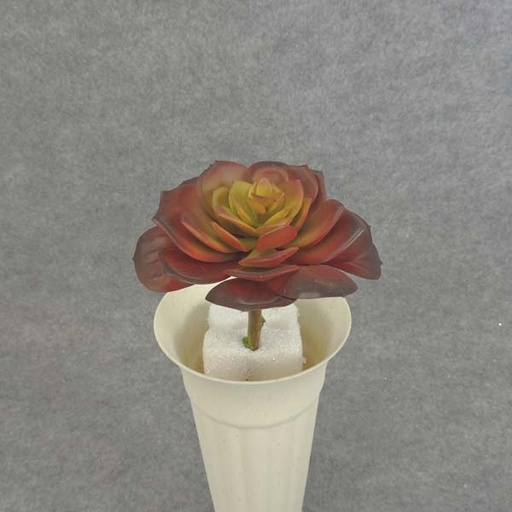 [SB6048-RGN] SUCCULENT PICK 6" RED/GREEN