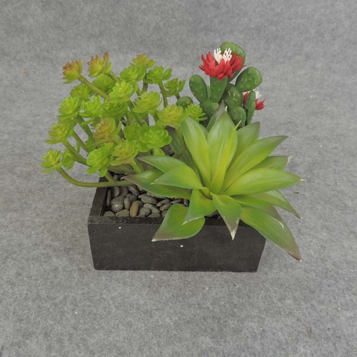 [SB6052] SUCCULENT MIXED 5x6" RED FLWRS WOOD PLANTER