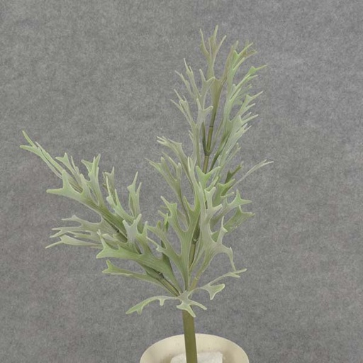 [SB6062] ELKHORN FERN SPRAY x3 16"