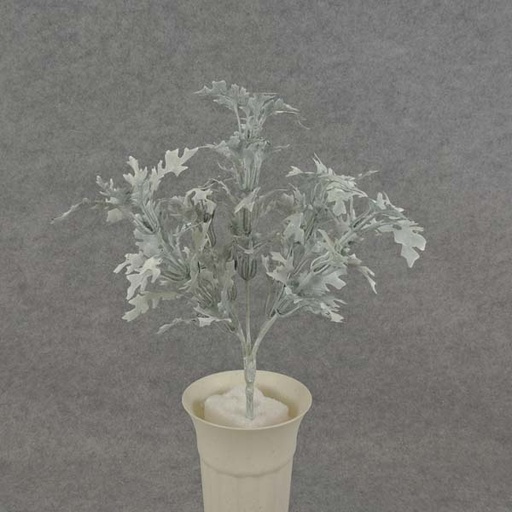 [SB6073] DUSTY MILLER BUSH 11" X5