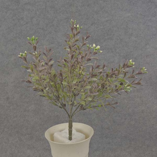 [SB6077] BOXWOOD MINI BUSH 11" X7       