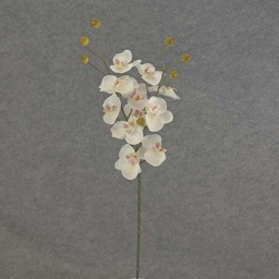 [SB6096-CRW] PHALAENOPSIS MINI SPRAY X3 23&quot;  CREAM/WHITE