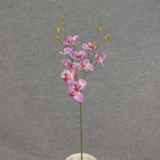[SB6096-PUR] PHALAENOPSIS MINI SPRAY X3 23"  PURPLE