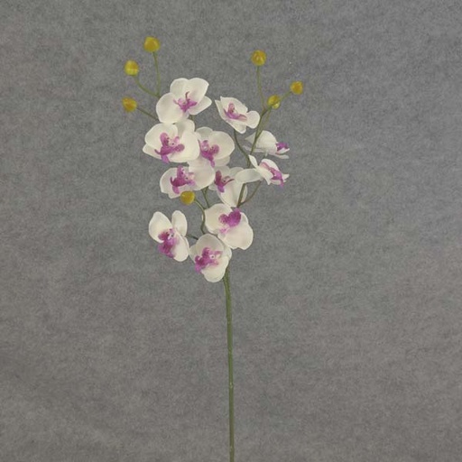 [SB6096-PWH] PHALAENOPSIS MINI SPRAY X3 23"  PURPLE/WHITE