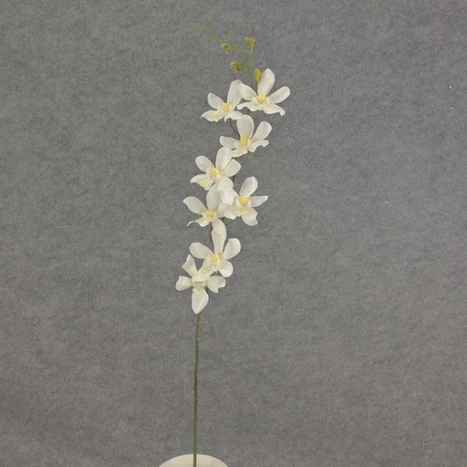 [SB6097-CRW] DENDROBIUM ORCHID SPRAY 29"  CREAM/WHITE