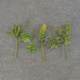 [SB6135] SUCCULENT PICK MIX SMALL 6/BAG