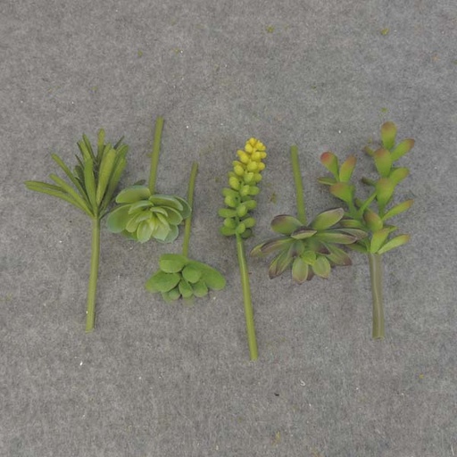 [SB6135] SUCCULENT PICK MIX SMALL 6/BAG