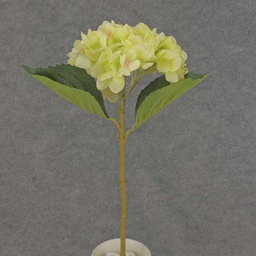[SB6138-CGN] HYDRANGEA STEM w/ 2 LVS 19&quot;  CREAM/GREEN