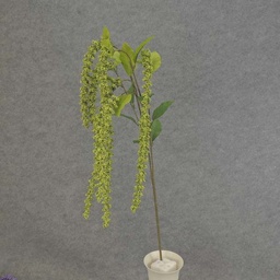 [SB6161-GRN] AMARANTHUS HANGING SPRAY X6 40"  GREEN