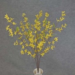 [SB6162] FORSYTHIA BUSH X10   30"