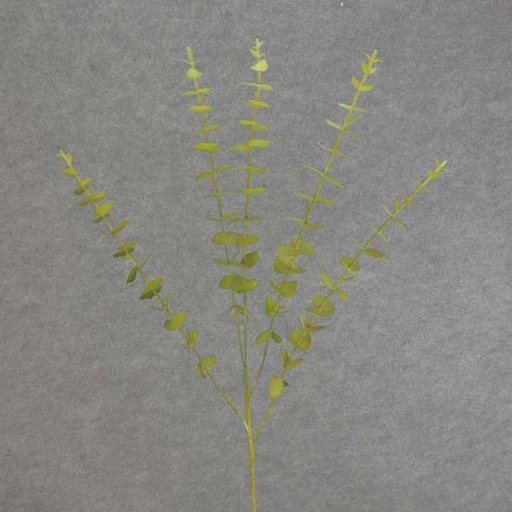 [SB6174-GRN] EUCALYPTUS SPRAY X5 31"