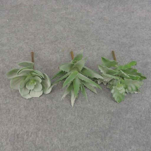 [SB6192-DGN] SUCCULENT PICK ASST (3/BAG)      DUSTY GREEN