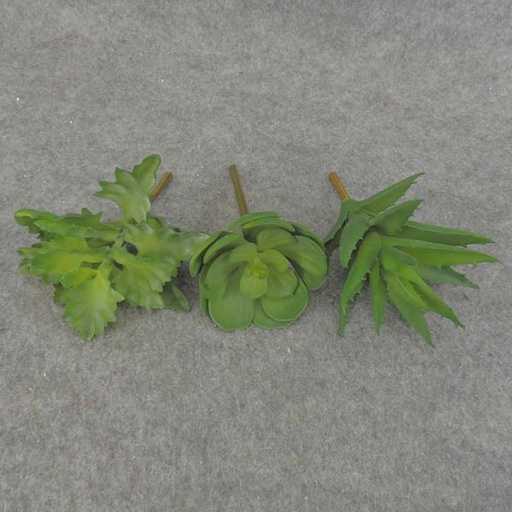 [SB6192-GRN] SUCCULENT PICK ASST (3/BAG)      GREEN
